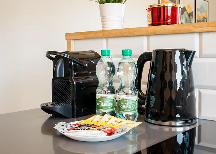 Brodnowski Urban Jungle By Bookinghost