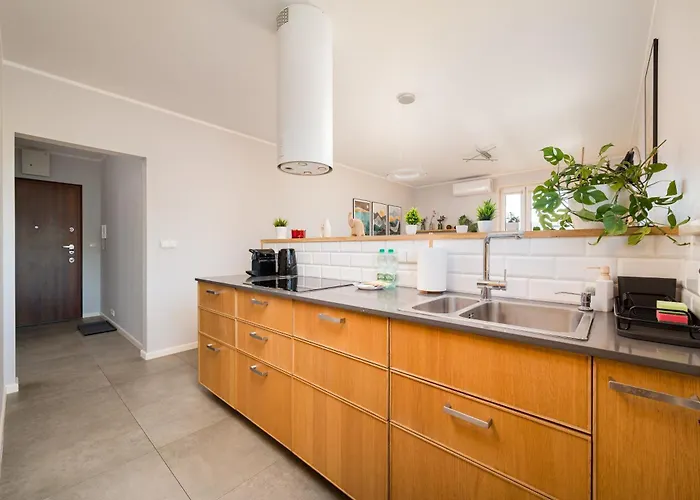 Brodnowski Urban Jungle By Bookinghost